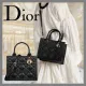 【2026】【DIOR】ディオール  ブック トート スモール  26.5 x 21 x 14 CM  240919