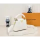 【2026】ルイヴィトン  Louis Vuitton  LV ブロデリー アングレーズ カプセル コレクション M20741  21 x 14 x8CM  240919