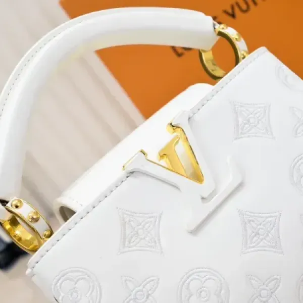 【2026】ルイヴィトン  Louis Vuitton  LV ブロデリー アングレーズ カプセル コレクション M20741  21 x 14 x8CM  240919