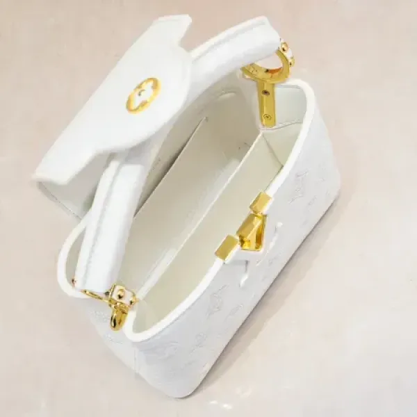 【2026】ルイヴィトン  Louis Vuitton  LV ブロデリー アングレーズ カプセル コレクション M20741  21 x 14 x8CM  240919