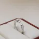 【2026】【CARTIER】カルティエ  指輪  240729