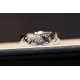 【2026】【CHANEL】シャネル 指輪