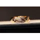 【2026】【CHANEL】シャネル 指輪