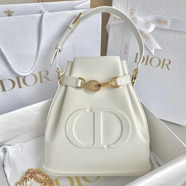 【2026】【大人気】DIOR ミディアム C'EST DIOR バッグ 24 x 10 x 24.5 cm