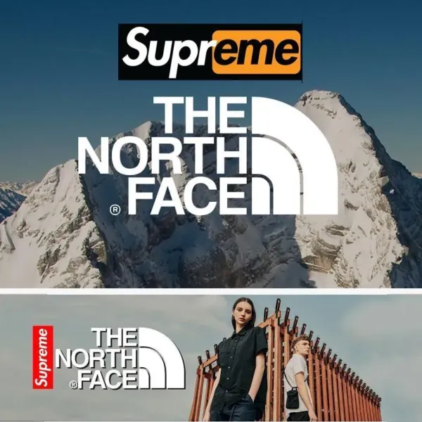 【2026】【The North Face 公式 旗艦店】ダウンジャケット ご好評に付き再入荷！