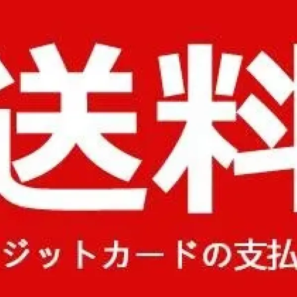 【2026】【The North Face 公式 旗艦店】ダウンジャケット ご好評に付き再入荷！