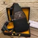【2026】LV【LOUIS VUITTON  公式旗艦店】ルイヴィトン  胸ポケット  当日出荷 好評に付き再入荷！29*19*4CM