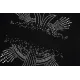 【2026】【CHROME HEARTS  公式旗艦店】クロムハーツ    Tシャツご好評に付き再入荷！