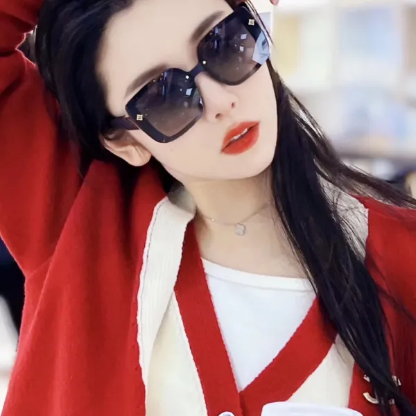 【2026】LOUIS VUITTON( ルイヴィトン) サングラス