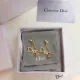 【2026】【DIOR】ディオール  ファッションスタイルのイヤリング