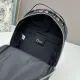 【2026】【DIOR 公式 旗艦店】ディオール リュックサック当日出荷 好評に付き再入荷！17*27*8cm