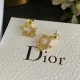 【2026】【DIOR】 ディオール ファッションスタイルのイヤリング 【2026】【DIOR】 ディオール ファッションスタイルのイヤリング