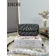 【2026】【DIOR 公式旗艦店】ディオール   ショルダーバッグ 当日出荷 好評に付き再入荷！22.5*12CM