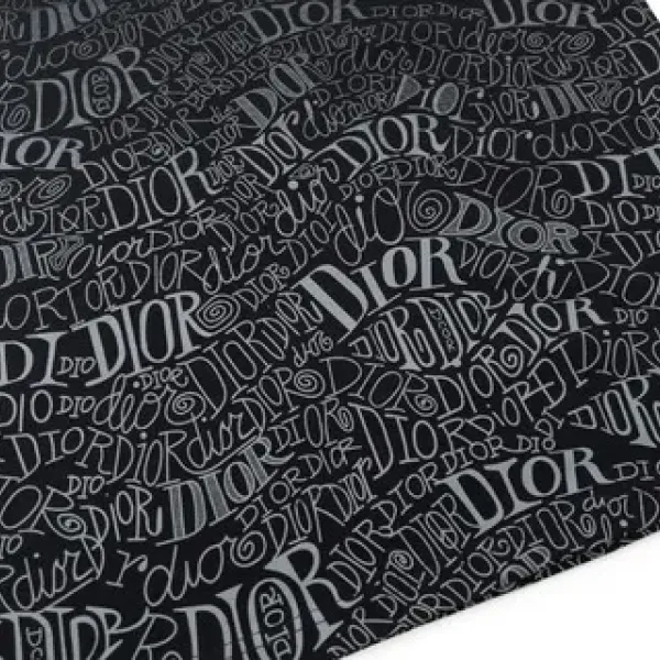 【2026】【 DIOR 公式旗艦店】ディオール   Tシャツ ご好評に付き再入荷！