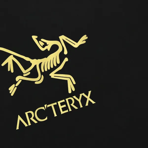 【ARCTERYX  公式旗艦店】 アークテリクス  Tシャツ ご好評に付き再入荷！250217