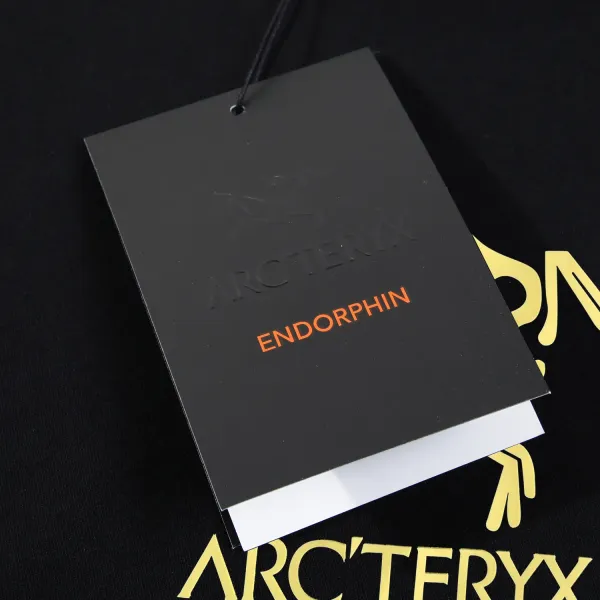 【ARCTERYX  公式旗艦店】 アークテリクス  Tシャツ ご好評に付き再入荷！250217
