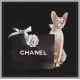 【CHANEL 公式旗艦店】シャネル  Tシャツ ご好評に付き再入荷 240719