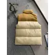 【The North Face 公式 旗艦店】ザノースフェイス  ダウンベスト ご好評に付き再入荷！241026