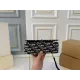 【DIOR公式旗艦店】ディオール  斜めがけバッグ 当日出荷 好評に付き再入荷！20*12CM 240720