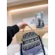 【DIOR  公式 旗艦店】ディオール   ショルダーバッグ 当日出荷 好評に付き再入荷！21*16CM