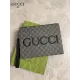 【GUCCI  公式 旗艦店】 グッチ   クラッチバッグ 当日出荷 好評に付き再入荷！22*28*3CM  241101