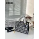 【DIOR  公式旗艦店】ディオール  ハンドバッグ 当日出荷 好評に付き再入荷！20*15CM