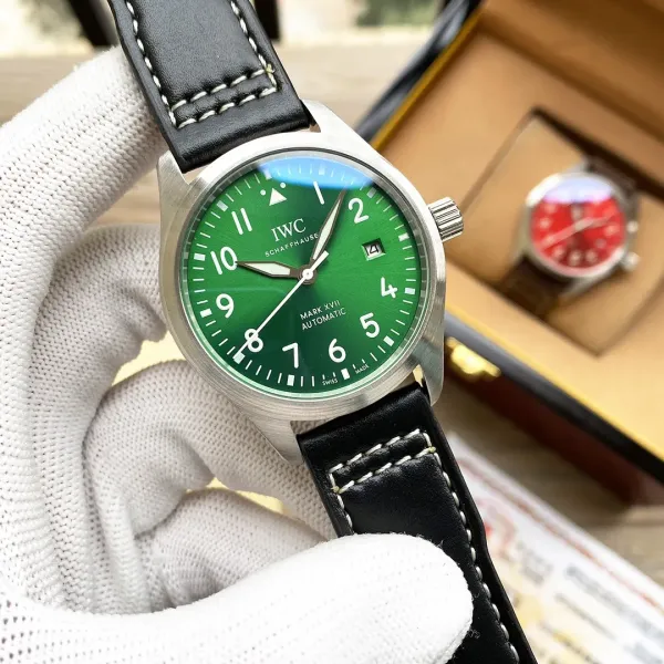 IWC  ( IWC)  腕時計  40*13MM