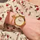 GUCCI( クッチ)  腕時計38MM
