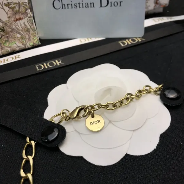 【DIOR】ネックレス、新しいネックレス万能シンプルファッションオーナメント  250301