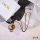 【DIOR】ネックレス、新しいネックレス万能シンプルファッションオーナメント  250301