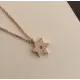 【CARTIER】ネックレス、新しいネックレス万能シンプルファッションオーナメント