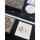 【DIOR】 ディオール  ファッションスタイルのイヤリング