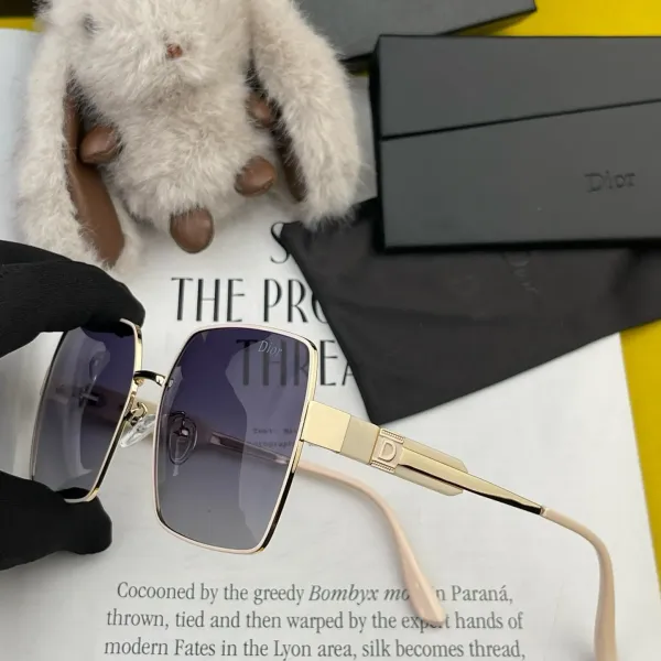 DIOR(  ディオール ) サングラス
