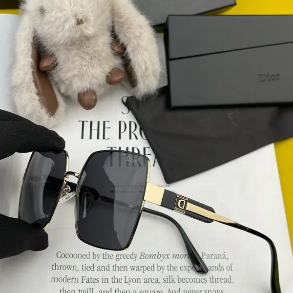 DIOR(  ディオール ) サングラス