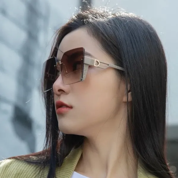 DIOR(  ディオール ) サングラス