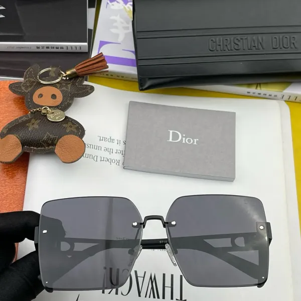 DIOR(  ディオール ) サングラス