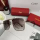 CARTIER( カルティエ) サングラス 24705