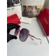 CARTIER( カルティエ) サングラス 24705
