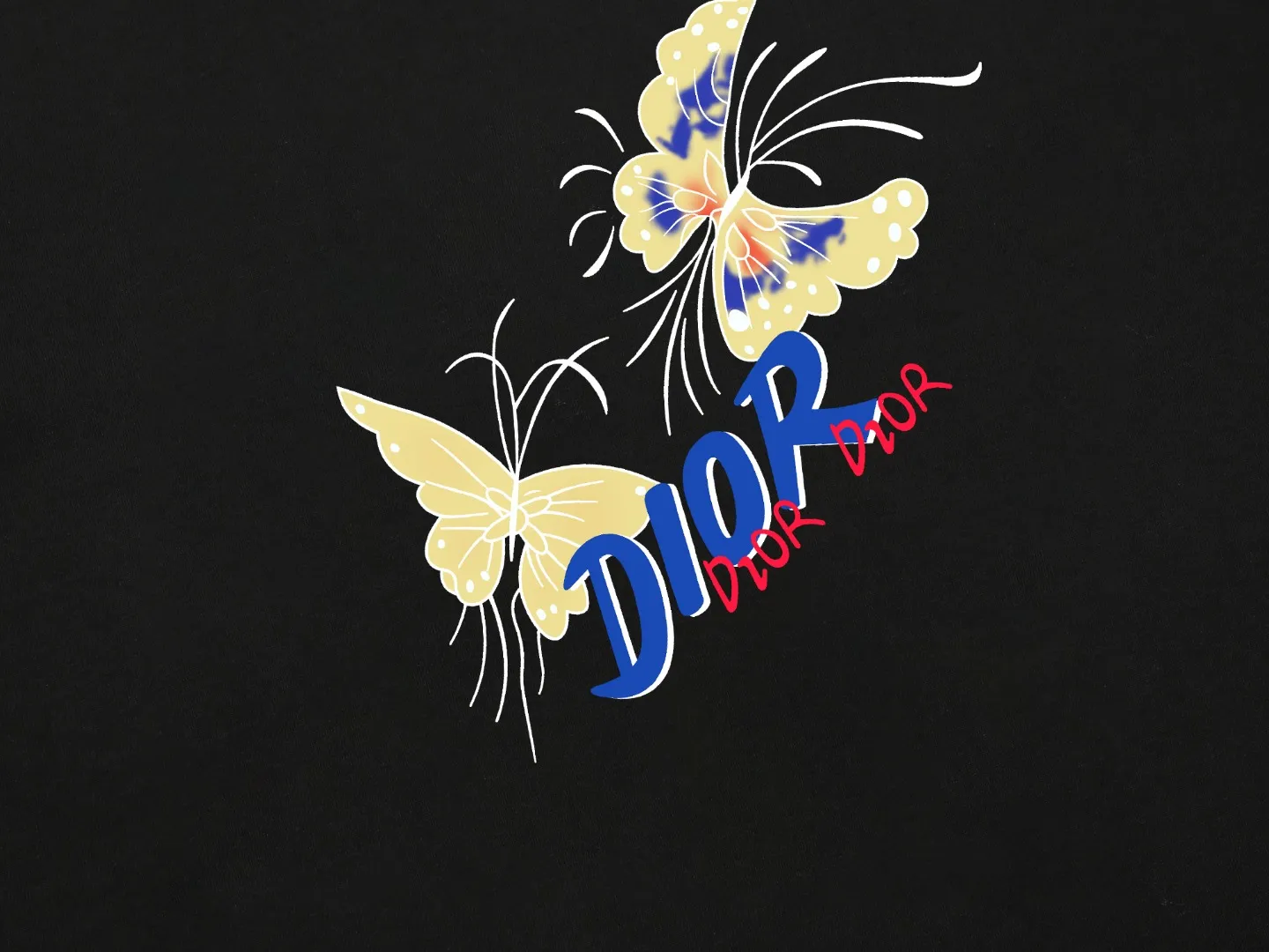 【2026】【DIOR 公式旗艦店】ディオール   Tシャツ ご好評に付き再入荷 250210