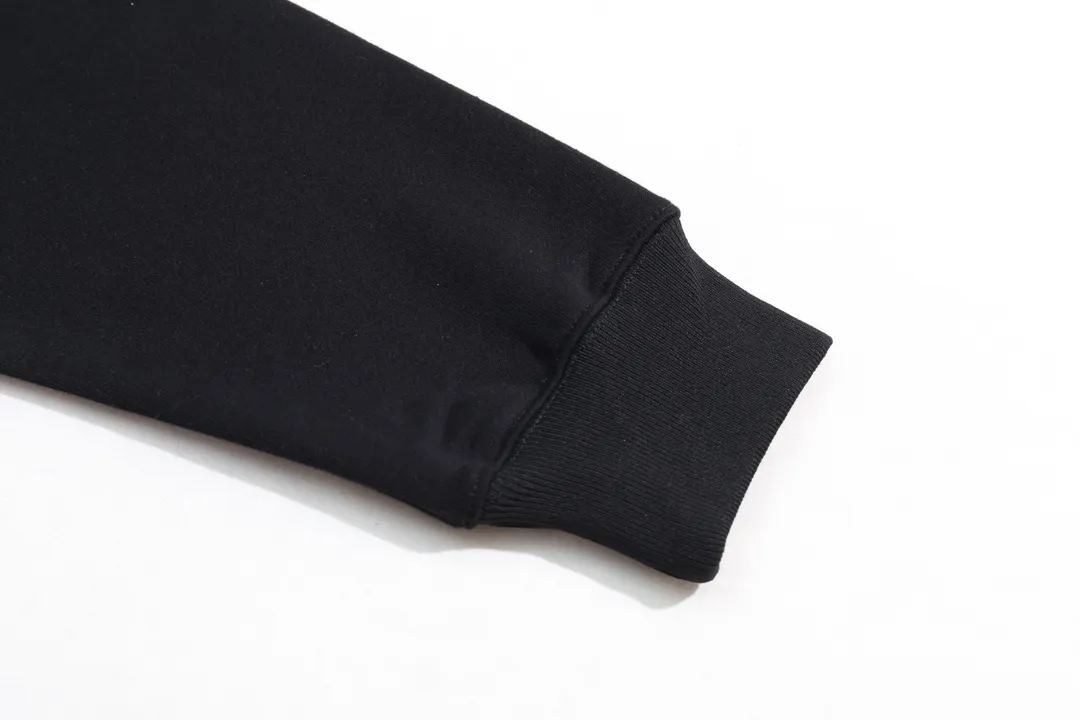 【2026】【ARCTERYX 公式旗艦店】アークテリクス  パーカー  スウェット ご好評に付き再入荷！241121