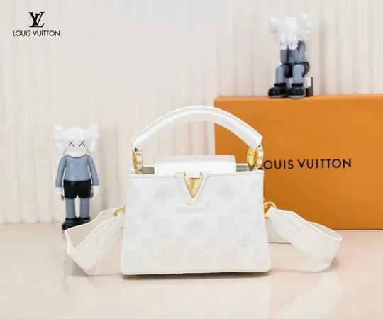 【2026】ルイヴィトン  Louis Vuitton  LV ブロデリー アングレーズ カプセル コレクション M20741  21 x 14 x8CM  240919