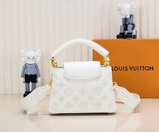 【2026】ルイヴィトン  Louis Vuitton  LV ブロデリー アングレーズ カプセル コレクション M20741  21 x 14 x8CM  240919