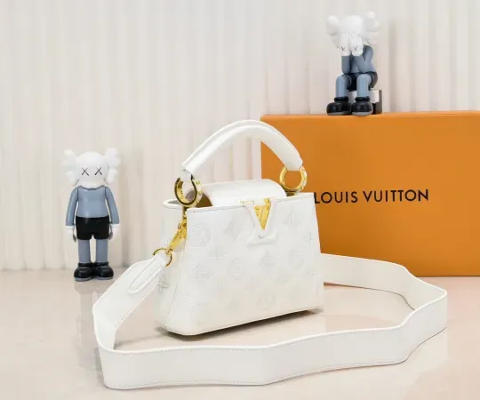 【2026】ルイヴィトン  Louis Vuitton  LV ブロデリー アングレーズ カプセル コレクション M20741  21 x 14 x8CM  240919