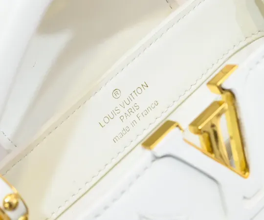 【2026】ルイヴィトン  Louis Vuitton  LV ブロデリー アングレーズ カプセル コレクション M20741  21 x 14 x8CM  240919