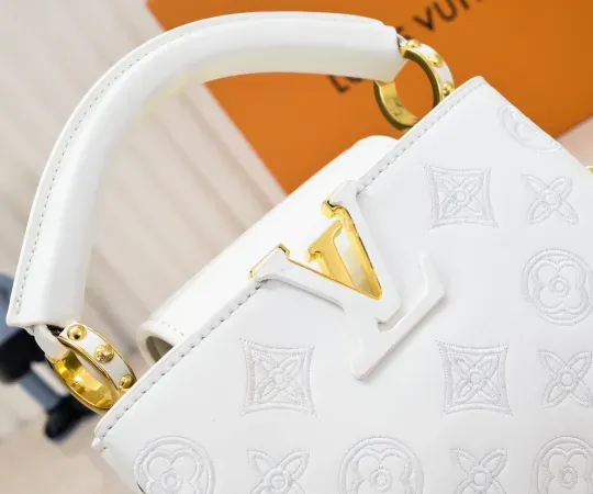 【2026】ルイヴィトン  Louis Vuitton  LV ブロデリー アングレーズ カプセル コレクション M20741  21 x 14 x8CM  240919