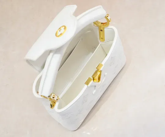 【2026】ルイヴィトン  Louis Vuitton  LV ブロデリー アングレーズ カプセル コレクション M20741  21 x 14 x8CM  240919