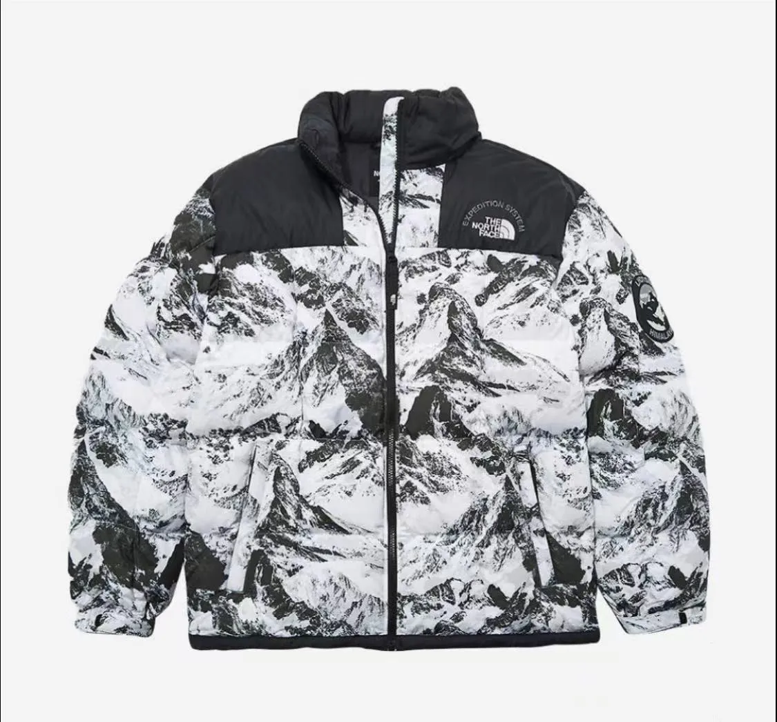 【2026】【人気が高い】【THE NORTH FACE】 ★ 1996 RETRO NUPTSE DOWN JKT ★