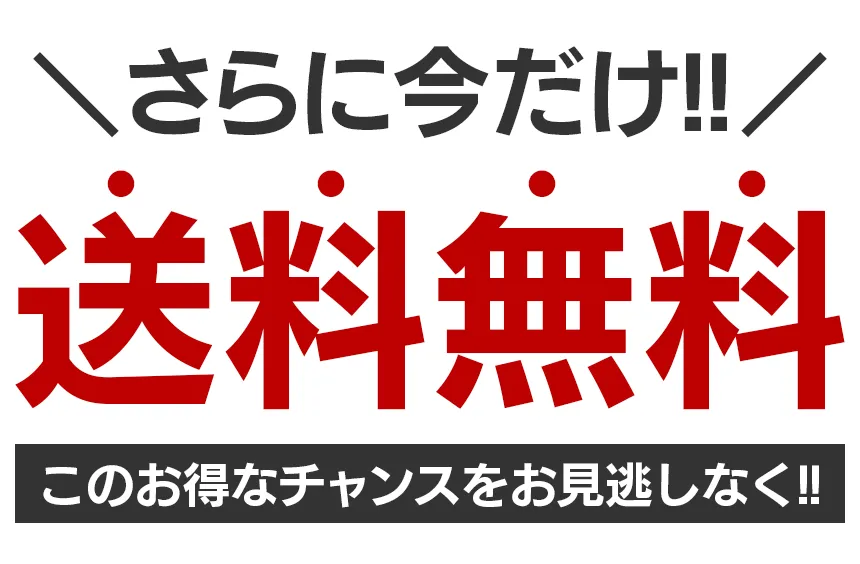 【2026】【Louis Vuitton日本公式許可旗艦店】ご好評に付き再入荷！！