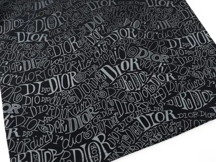 【2026】【 DIOR 公式旗艦店】ディオール   Tシャツ ご好評に付き再入荷！