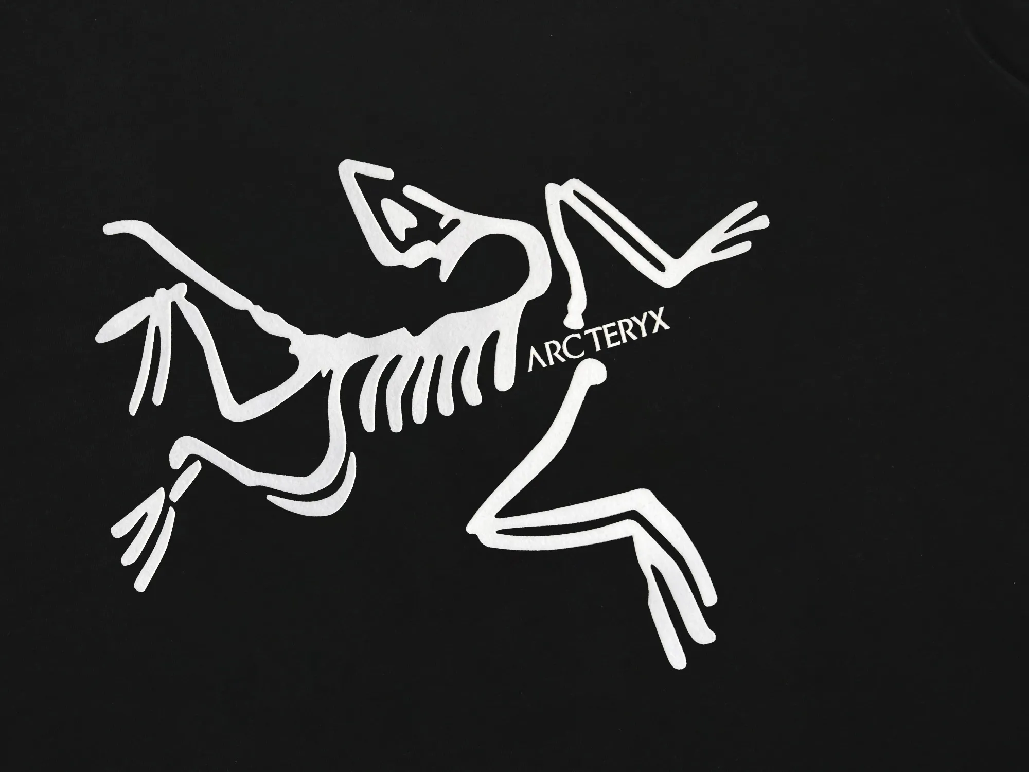 【ARCTERYX  公式旗艦店】 アークテリクス  Tシャツ ご好評に付き再入荷！250217